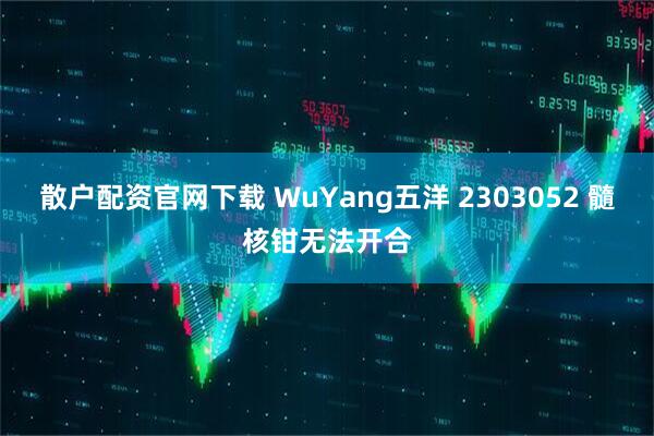 散户配资官网下载 WuYang五洋 2303052 髓核钳无法开合