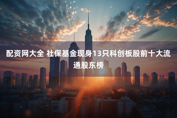 配资网大全 社保基金现身13只科创板股前十大流通股东榜