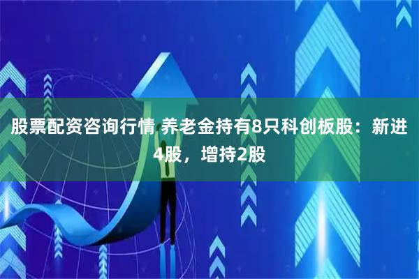 股票配资咨询行情 养老金持有8只科创板股：新进4股，增持2股